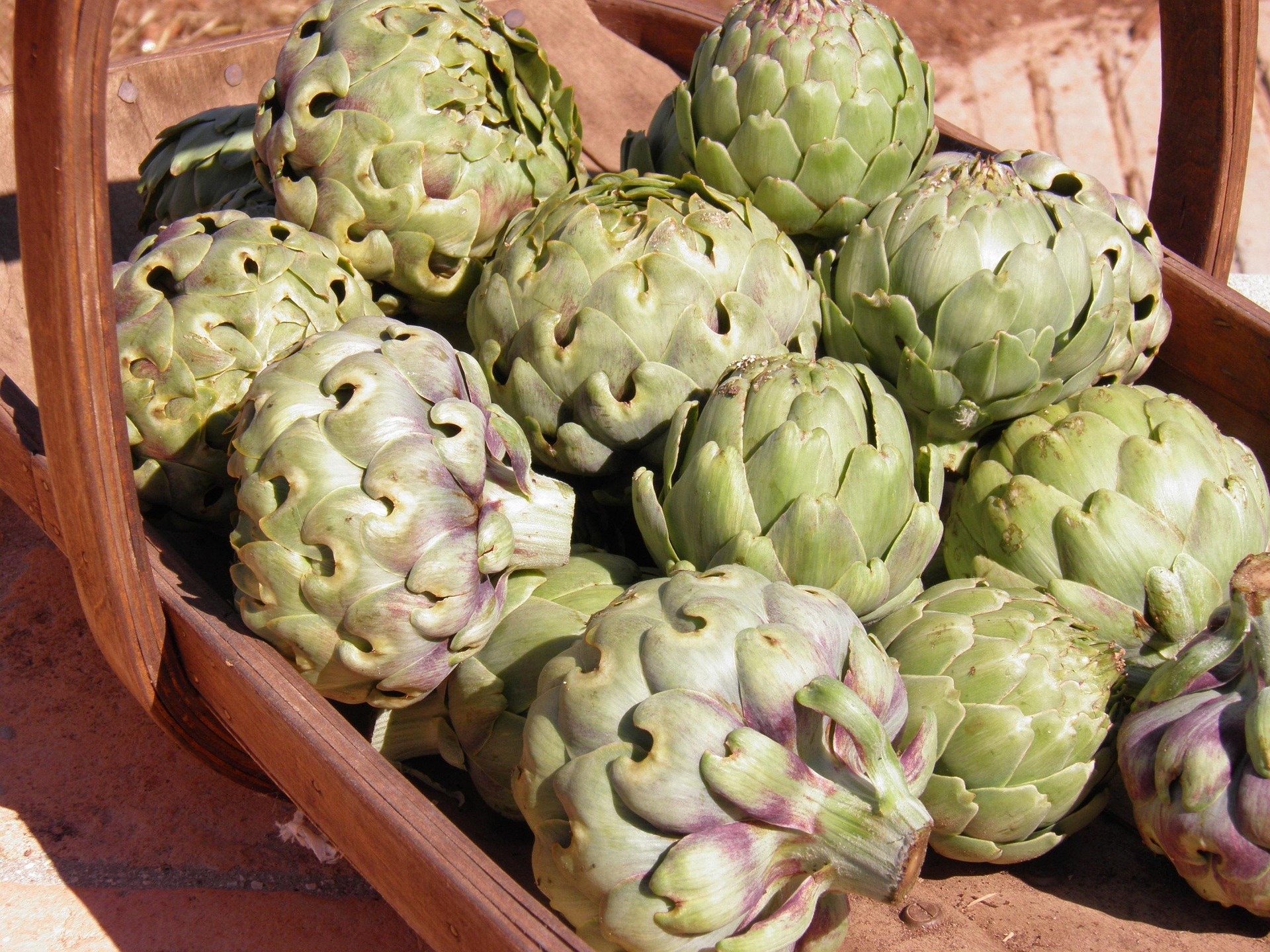 realme-artichokes-986279_1920